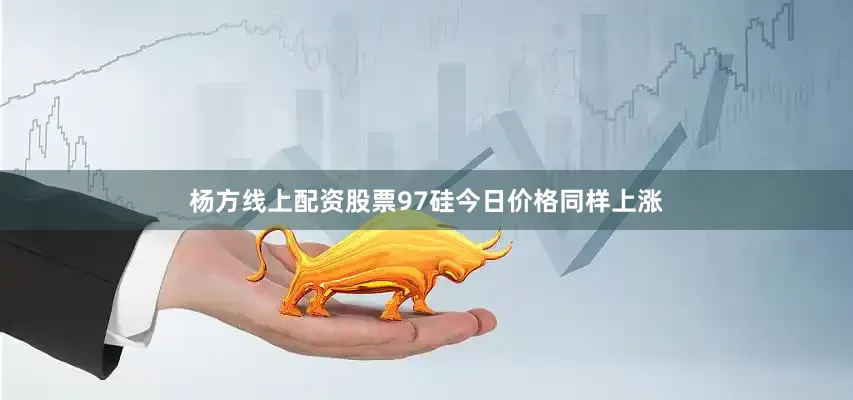 杨方线上配资股票97硅今日价格同样上涨